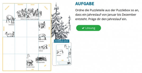 Rehwild - ein Großwild im Jahreslauf