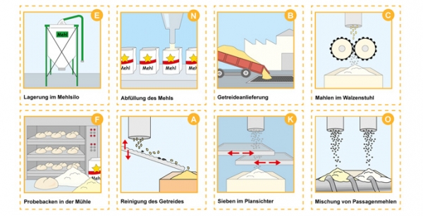 Unser Getreide - vom Korn zum Mehl