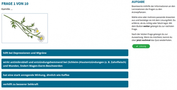 Arzneipflanzen - Wohltuende und heilende Pflanzenextrakte