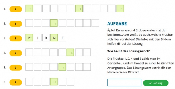 Heimische Früchte von Aprikosen bis Zwetschgen