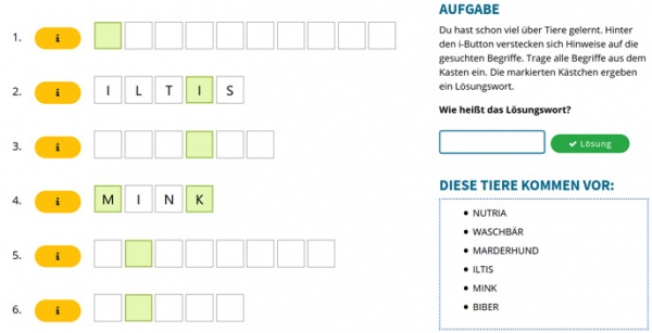 Nutria, Waschbär und Marderhund