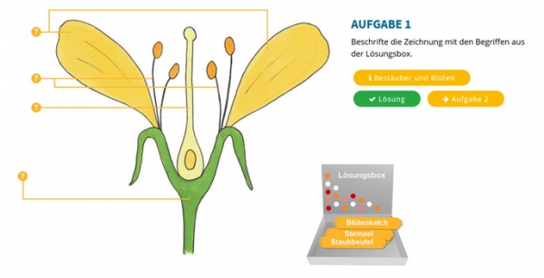 Nützliche Bestäuber und ihre Lebensräume