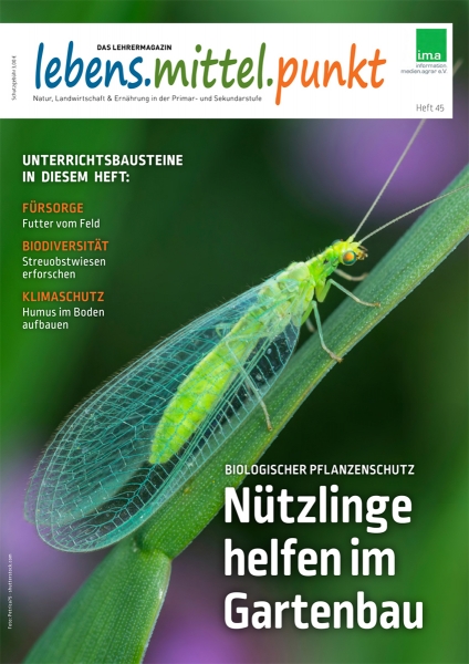 Heft Nr. 45, 2. Quartal 2021