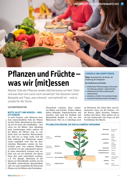 Pflanzen und Früchte