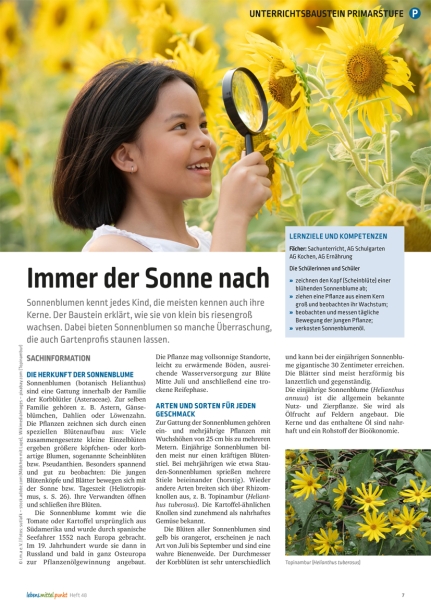 Sonnenblumen