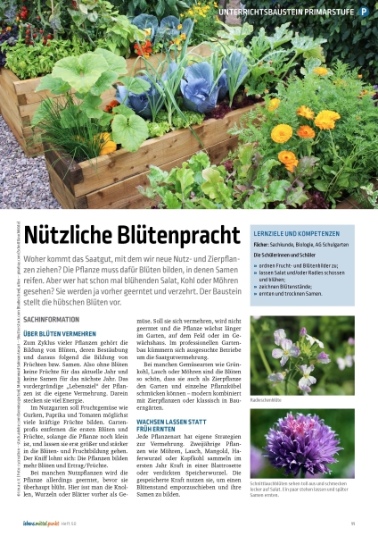 Nützliche Blütenpracht