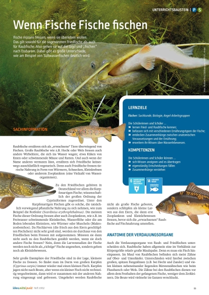 Fried- & Raubfische