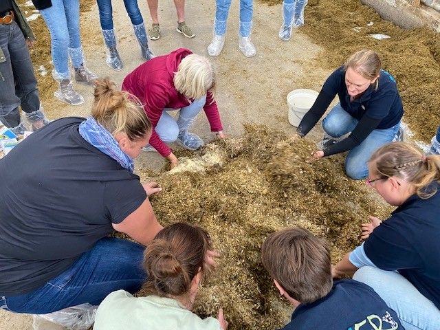 Lehrkräfte hocken um Tierfutter herum, das sie anfassen.